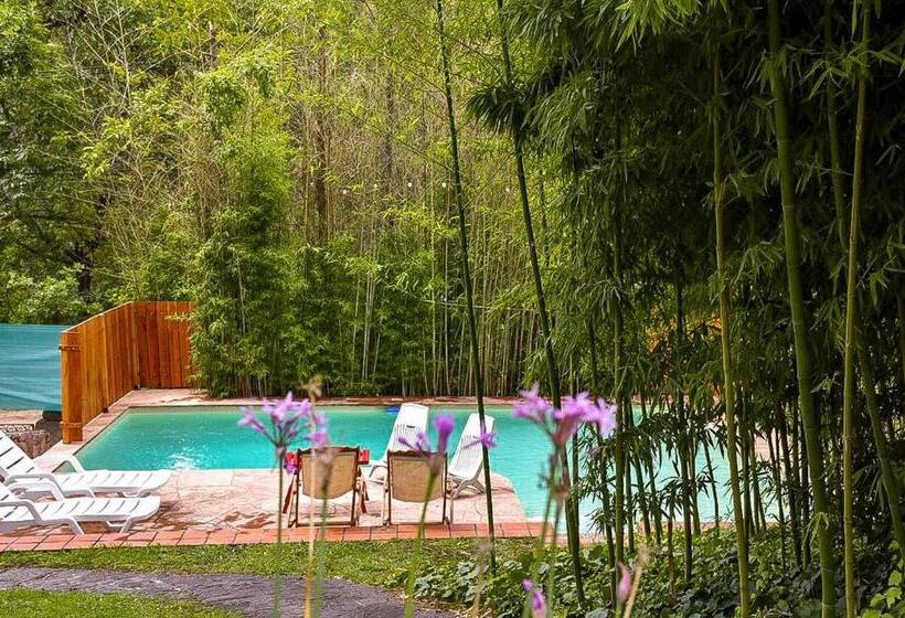 ベッドアンドブレックファースト Casa Mansa