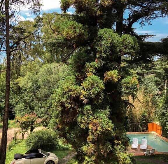 ベッドアンドブレックファースト Casa Mansa