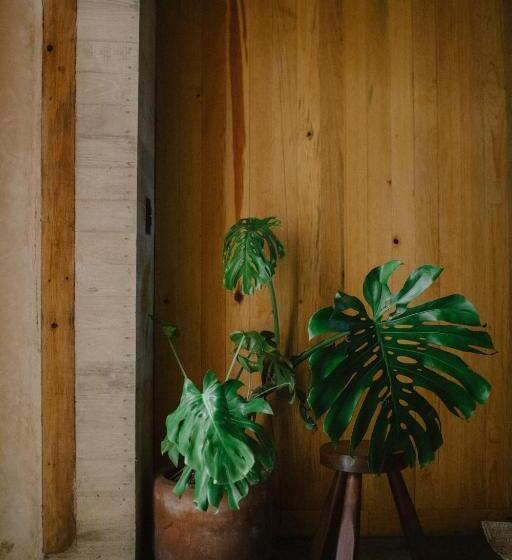 Escondido Oaxaca, A Member Of Design Hotels