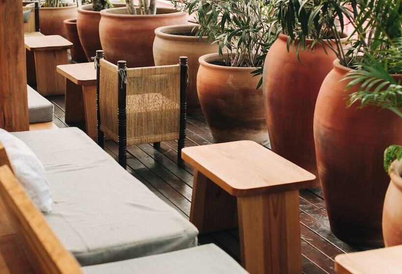 Escondido Oaxaca, A Member Of Design Hotels