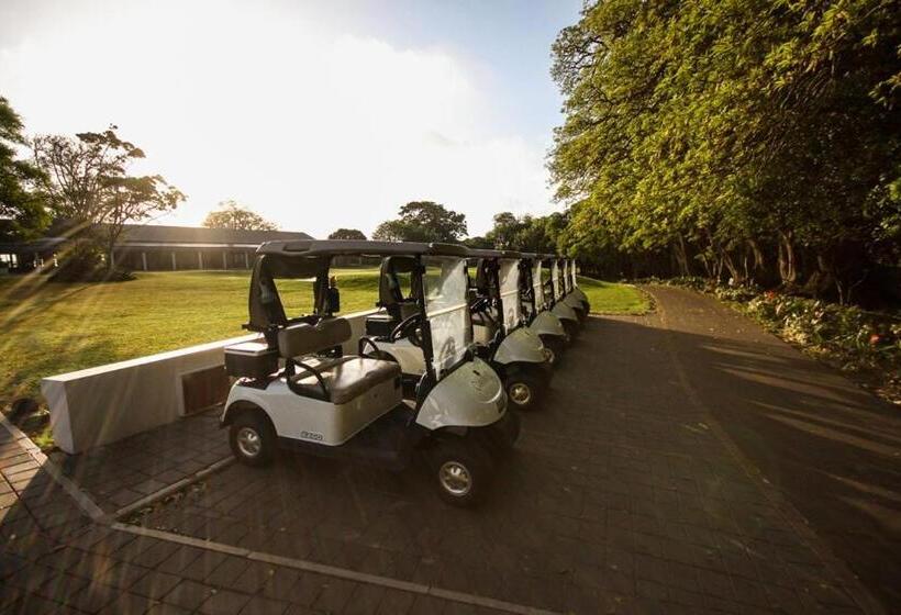 Отель Olivewood