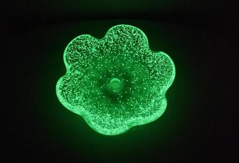 女性用 Art Setouchi Triennale Hotel Female Only