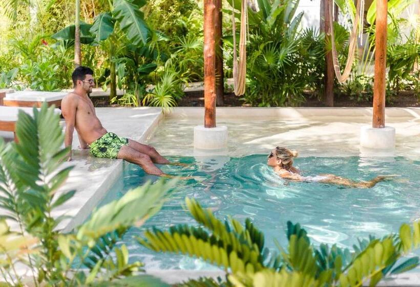 호텔 Zenses Wellness And Yoga Resort Adults Only