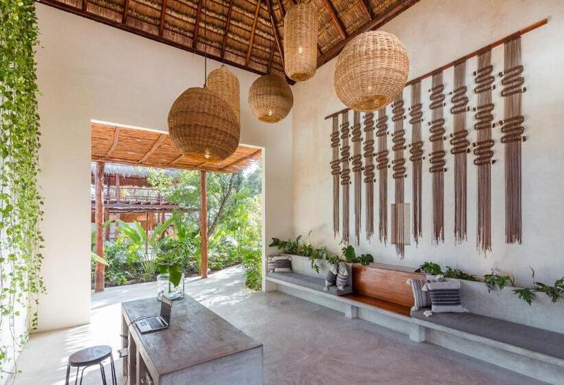 호텔 Zenses Wellness And Yoga Resort Adults Only