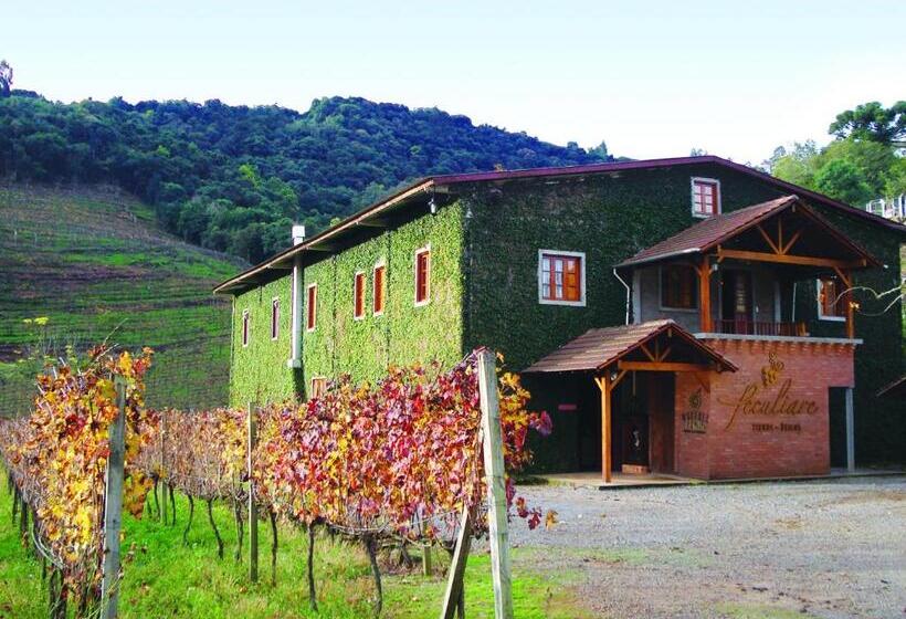 פנסיון Vinicola E Pousada Peculiare