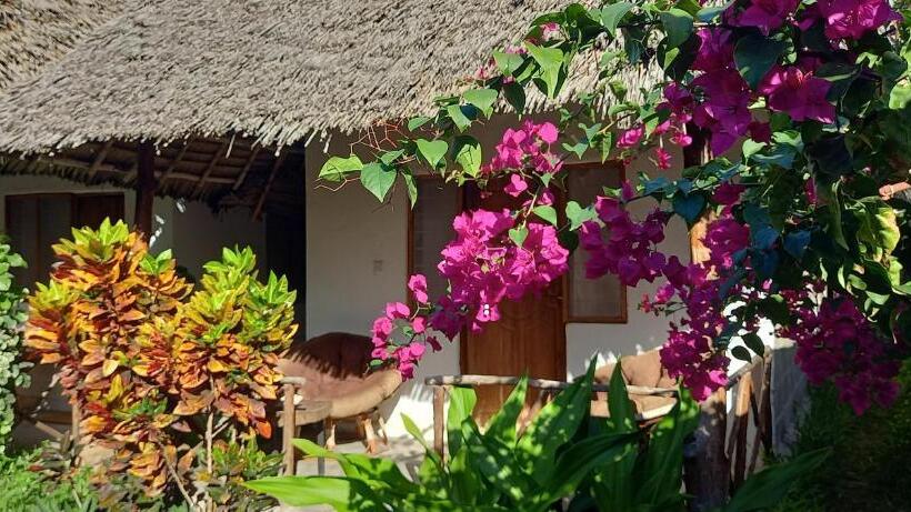 住宿加早餐 Morningstar Bungalows Zanzibar