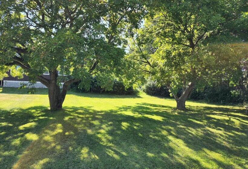 Blue Moon Resort & Motel