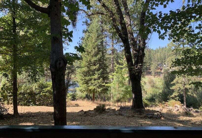 酒店 Alta Sierra Village Inn