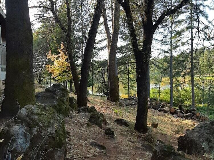 酒店 Alta Sierra Village Inn