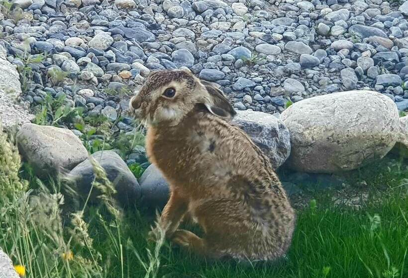 בית מלון כפרי Casa Verde