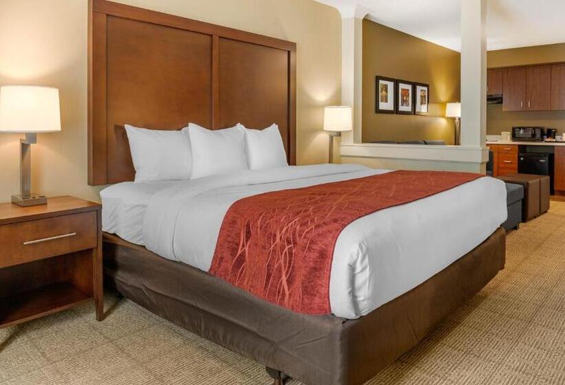 فندق Comfort Inn & Suites Amish Country