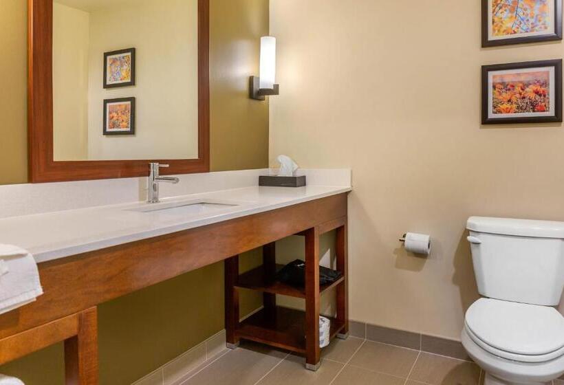 فندق Comfort Inn & Suites Amish Country