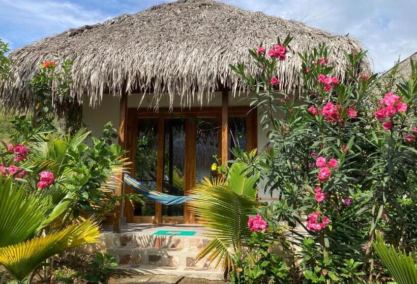 هتل La Costa International