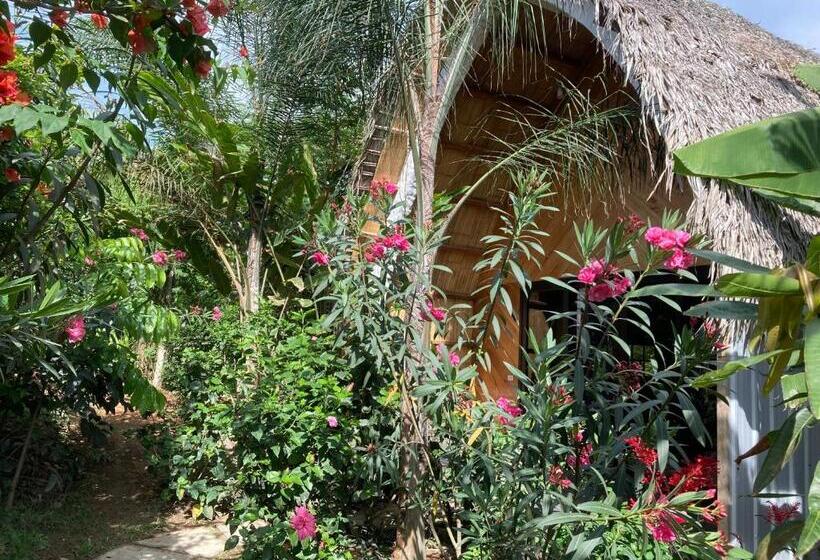 ホテル La Costa International