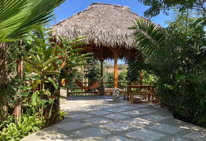 ホテル La Costa International