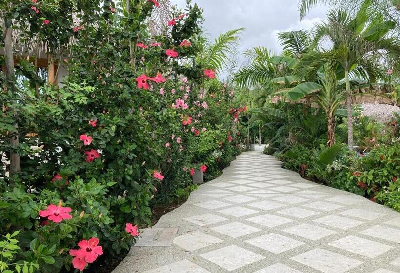 Отель La Costa International