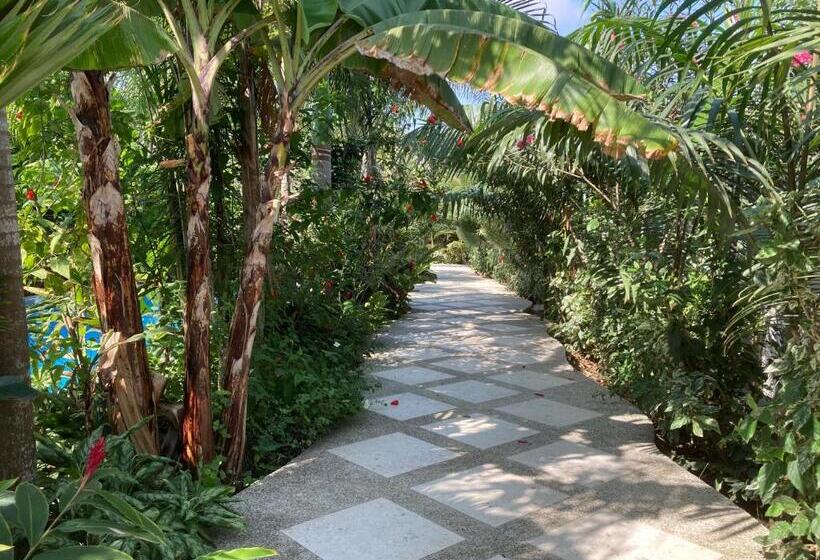 ホテル La Costa International