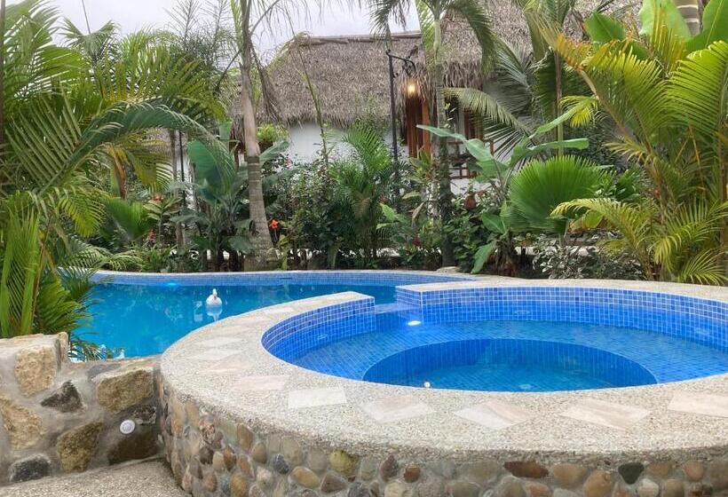 Отель La Costa International