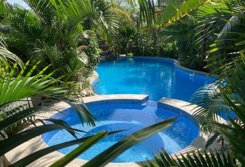 ホテル La Costa International