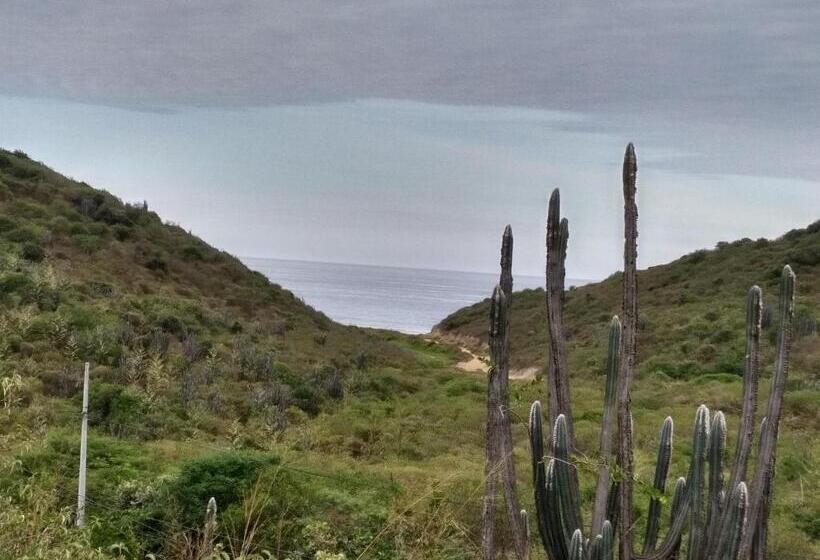 ホテル La Costa International