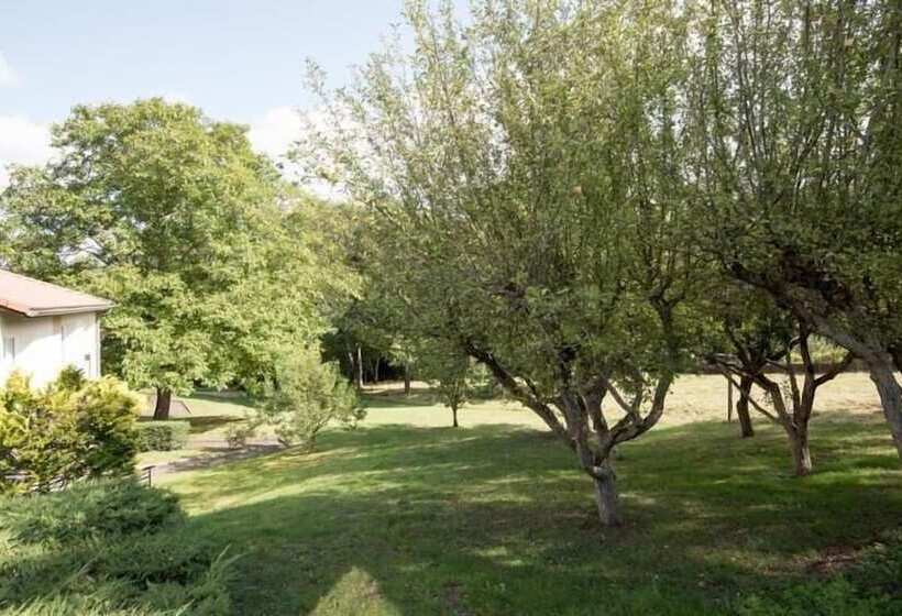 Отель Restaurant L Artiere