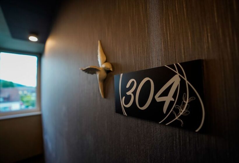 Отель Viktorosa