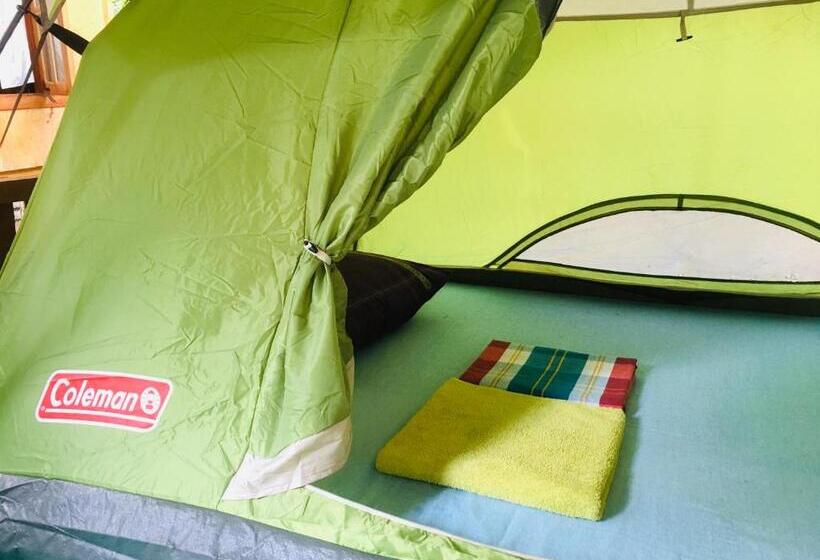 Another World Hostel Sigiriya