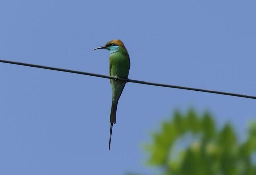 Another World Hostel Sigiriya