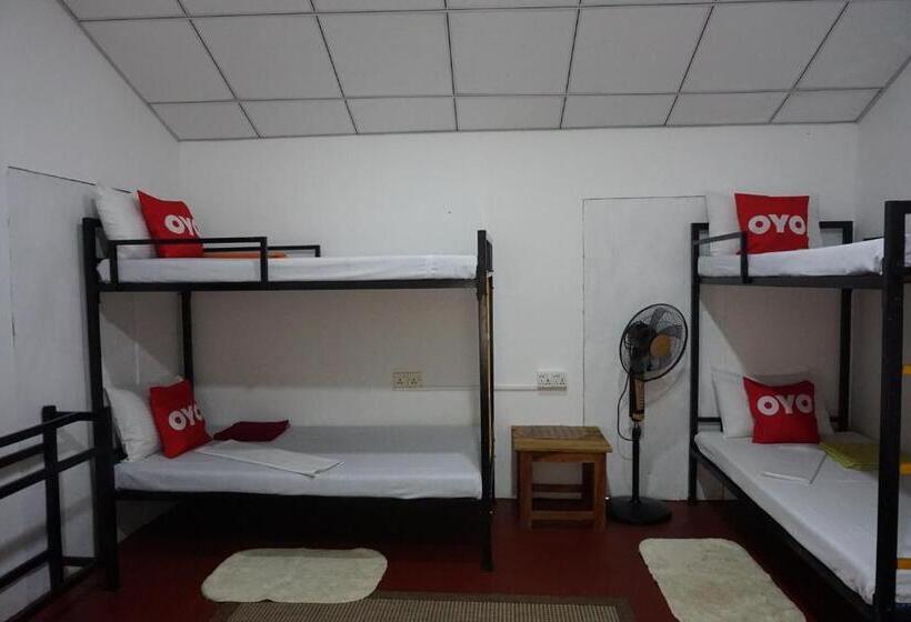 Another World Hostel Sigiriya