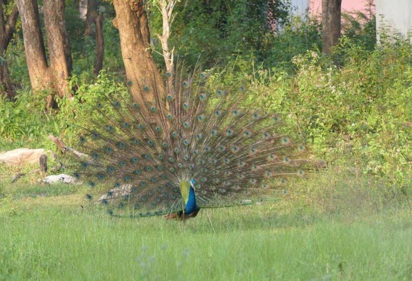 Another World Hostel Sigiriya