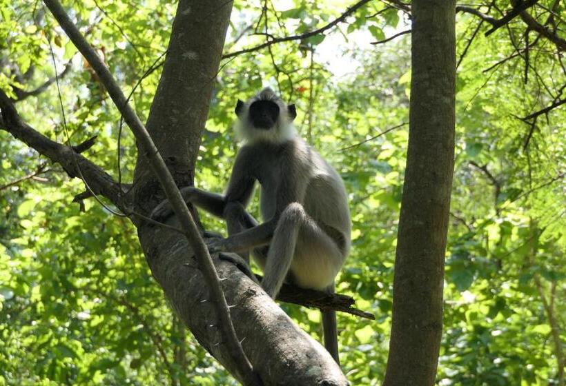 Another World Hostel Sigiriya