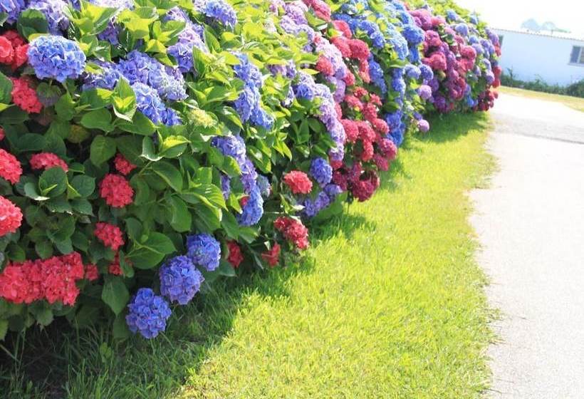 Apartamentos Jesús Para 4 Personas