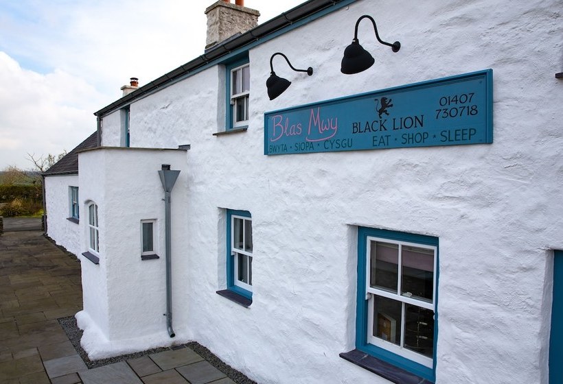 Black Lion Bed & Breakfast