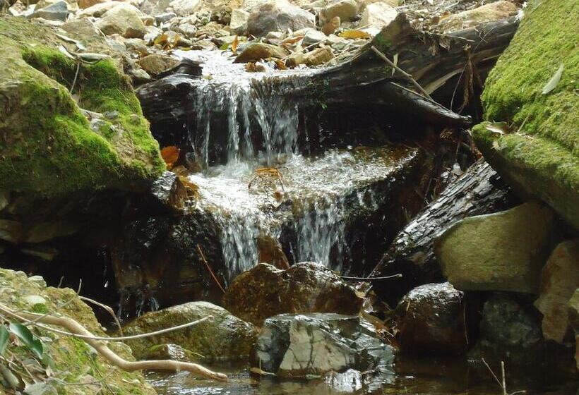 호텔 Arima Koukaen