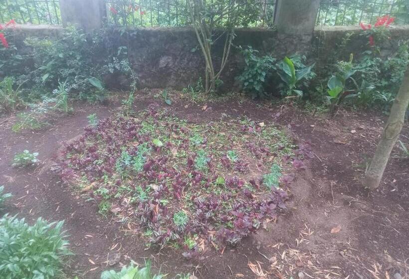 Отель Bruton Resorts