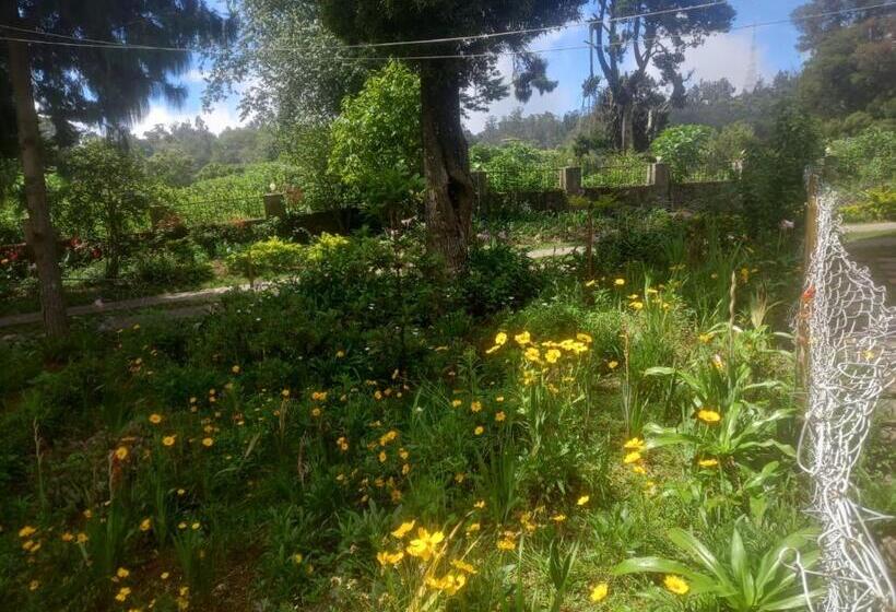 Отель Bruton Resorts