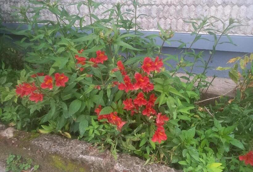 Отель Bruton Resorts