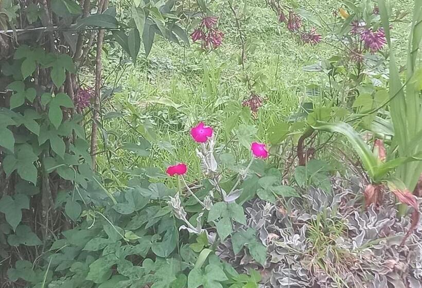 Отель Bruton Resorts