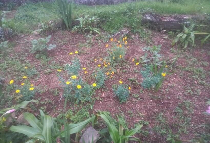 Отель Bruton Resorts