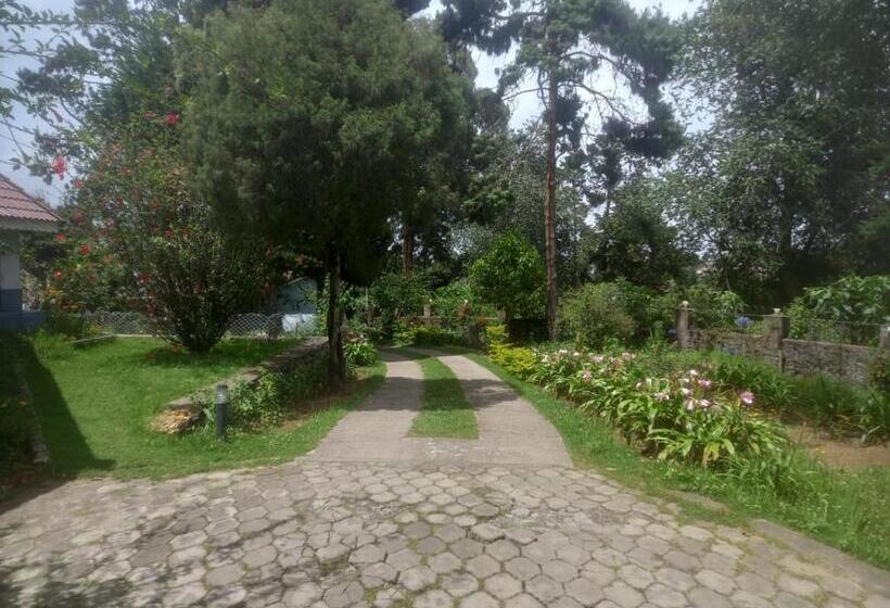 هتل Bruton Resorts