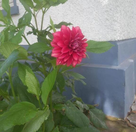 هتل Bruton Resorts