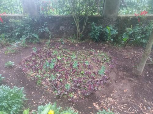 هتل Bruton Resorts