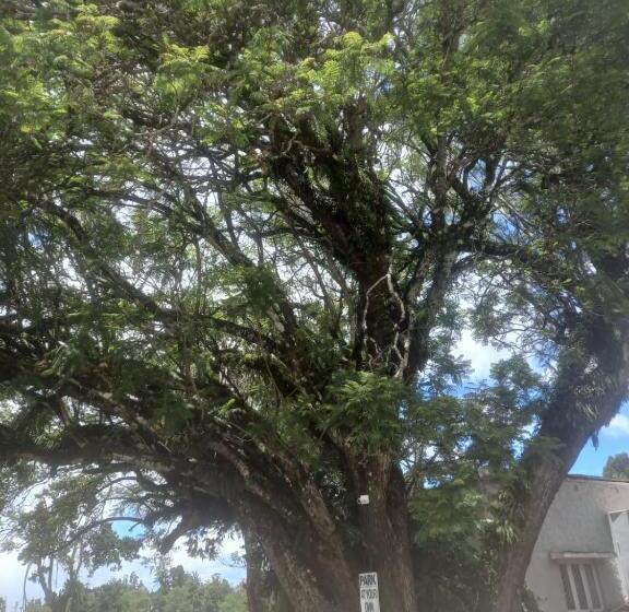 Отель Bruton Resorts