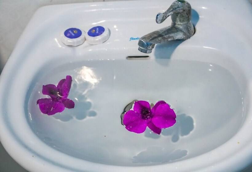 酒店 Green Ocean Koh Rong