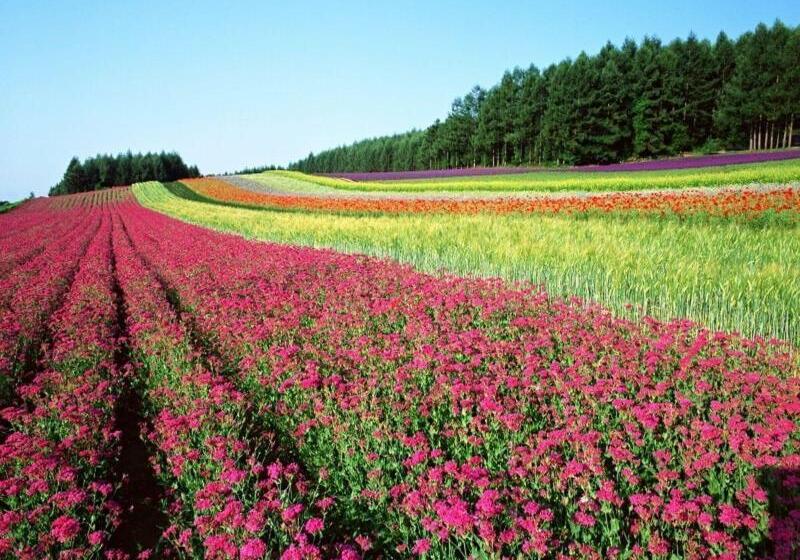 فندق La Vista Furano Hills Hot Springs