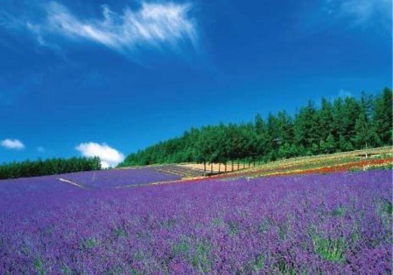 فندق La Vista Furano Hills Hot Springs