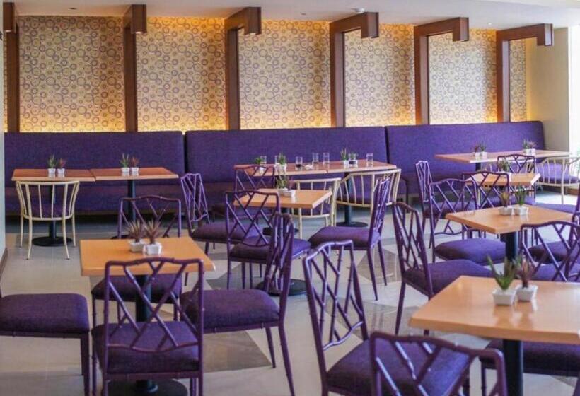 هتل Mansion Garden