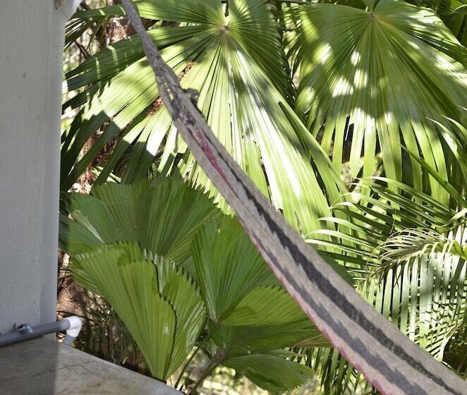 호텔 Nature Lodge Finca Los Caballos