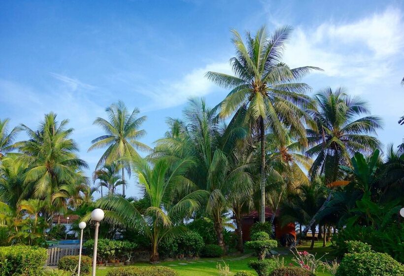 호텔 Seaside Travellers Inn