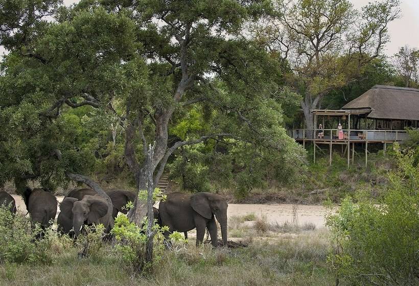 فندق Tanda Tula Safari Camp